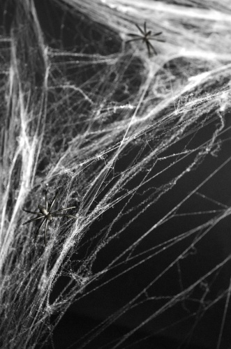Pajęczyna Halloween, biały, 60g.jpg