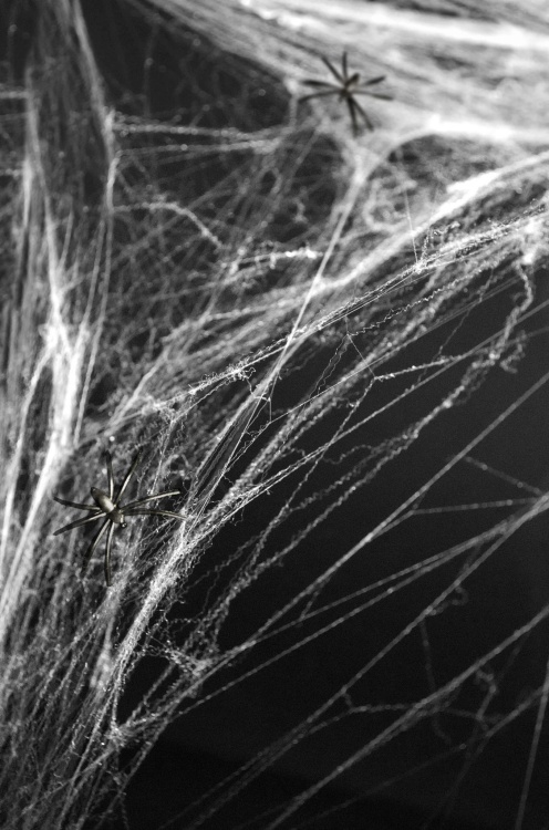Pajęczyna Halloween, biały, 60g.jpg